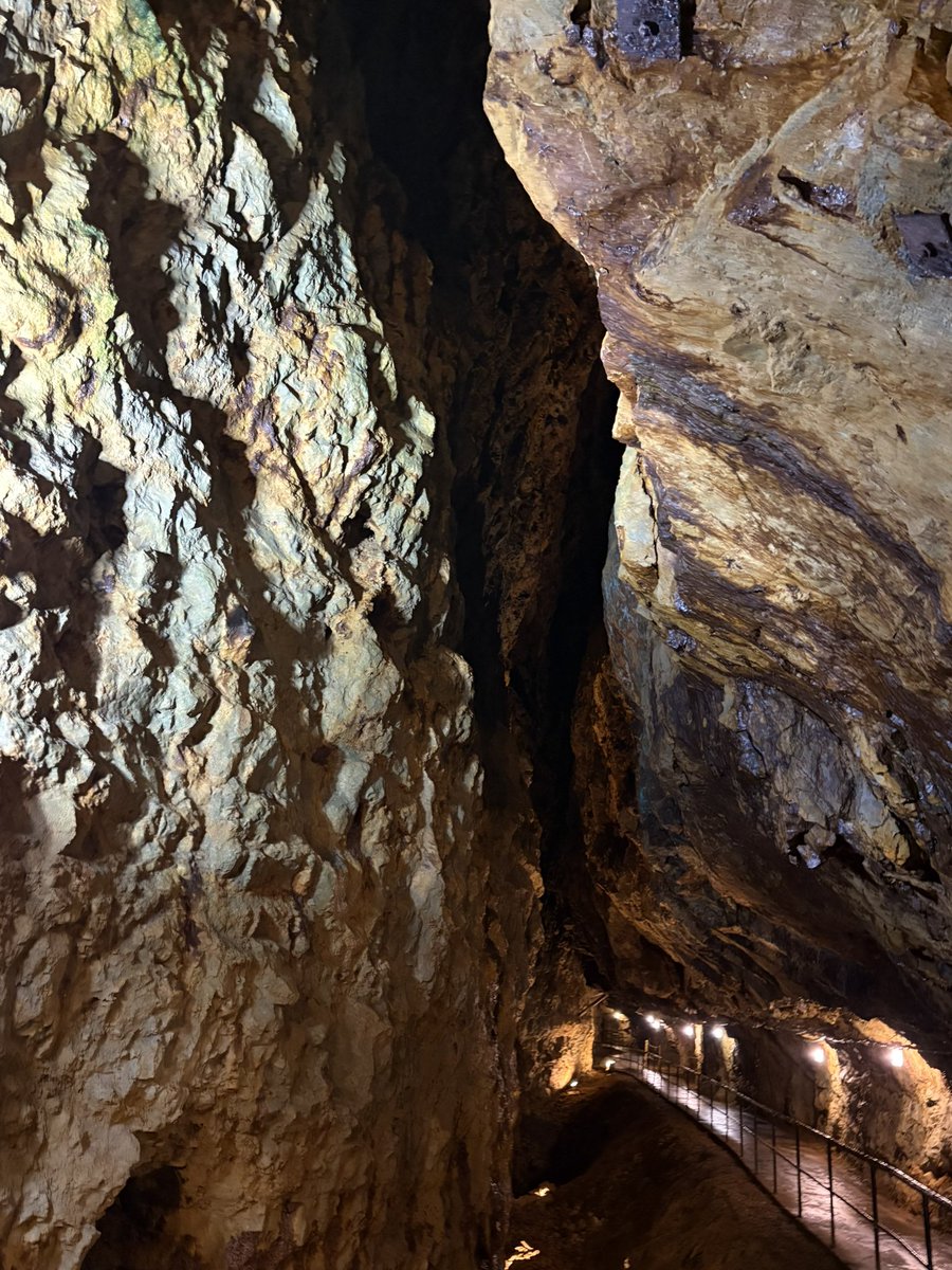 藍華(あいか)🍎🩷 tweet media