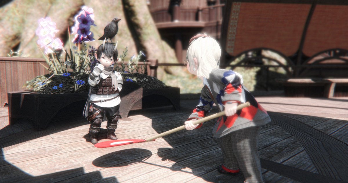 ₌᳐･֊･₌᳐ ੭ tweet media