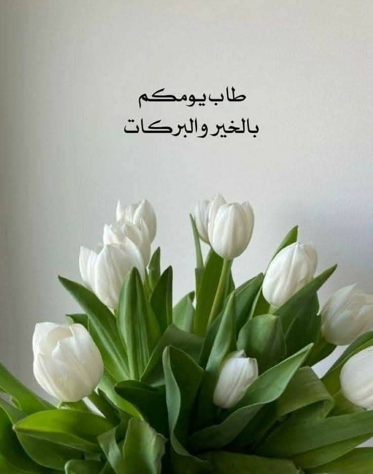 ماجدة هاشم ❤️ tweet media