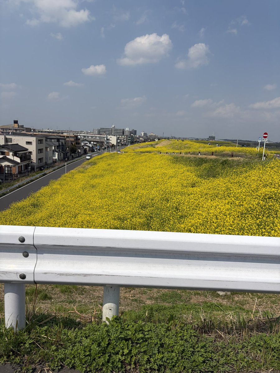 深海 天音🩵🐬💫𝙉𝙚𝙭𝙩 ︎⇝ ストレイライトXXX全ツ tweet media