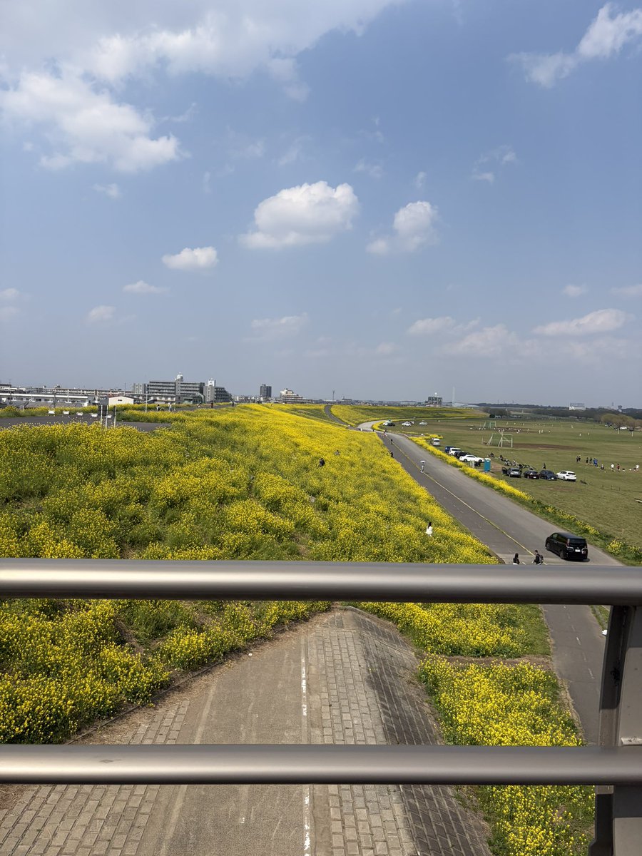 深海 天音🩵🐬💫𝙉𝙚𝙭𝙩 ︎⇝ ストレイライトXXX全ツ tweet media