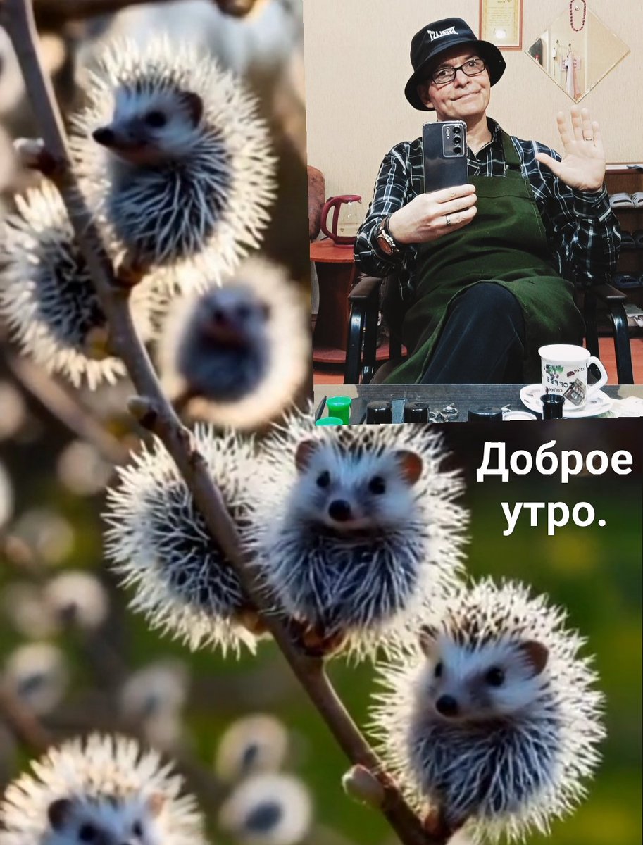 Крокодил Гена 🐊 tweet media