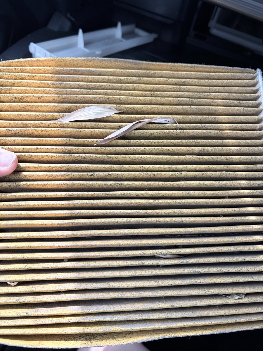 Tsutsuopee@クロエとネルと嫁の下僕 tweet media