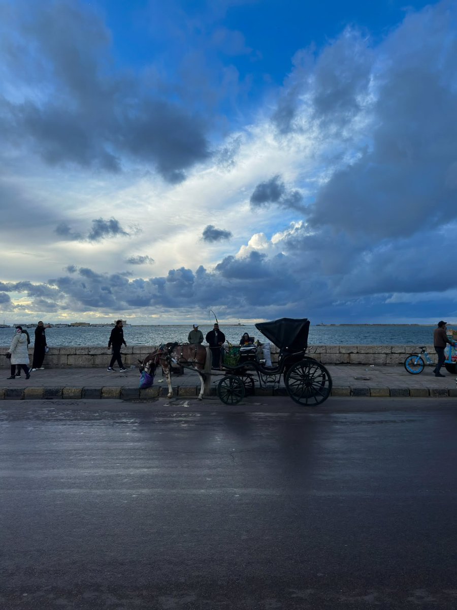 اسكندرية - Alexandria tweet media