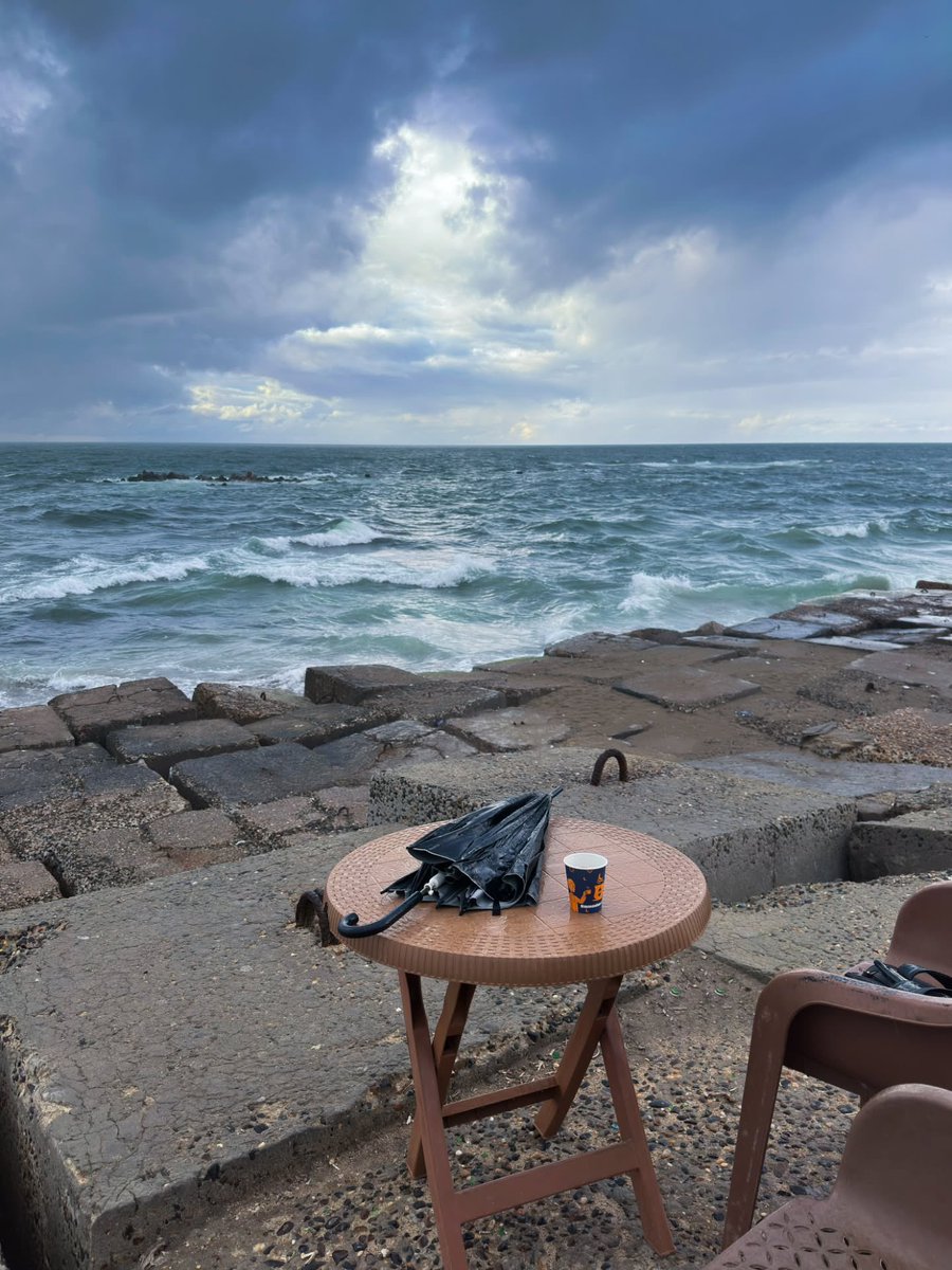 اسكندرية - Alexandria tweet media
