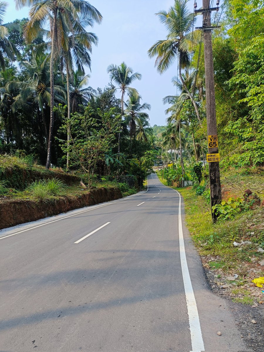 jospjose's tweet photo. Solitary road .. https://t.co/KehJ4NHf2S
