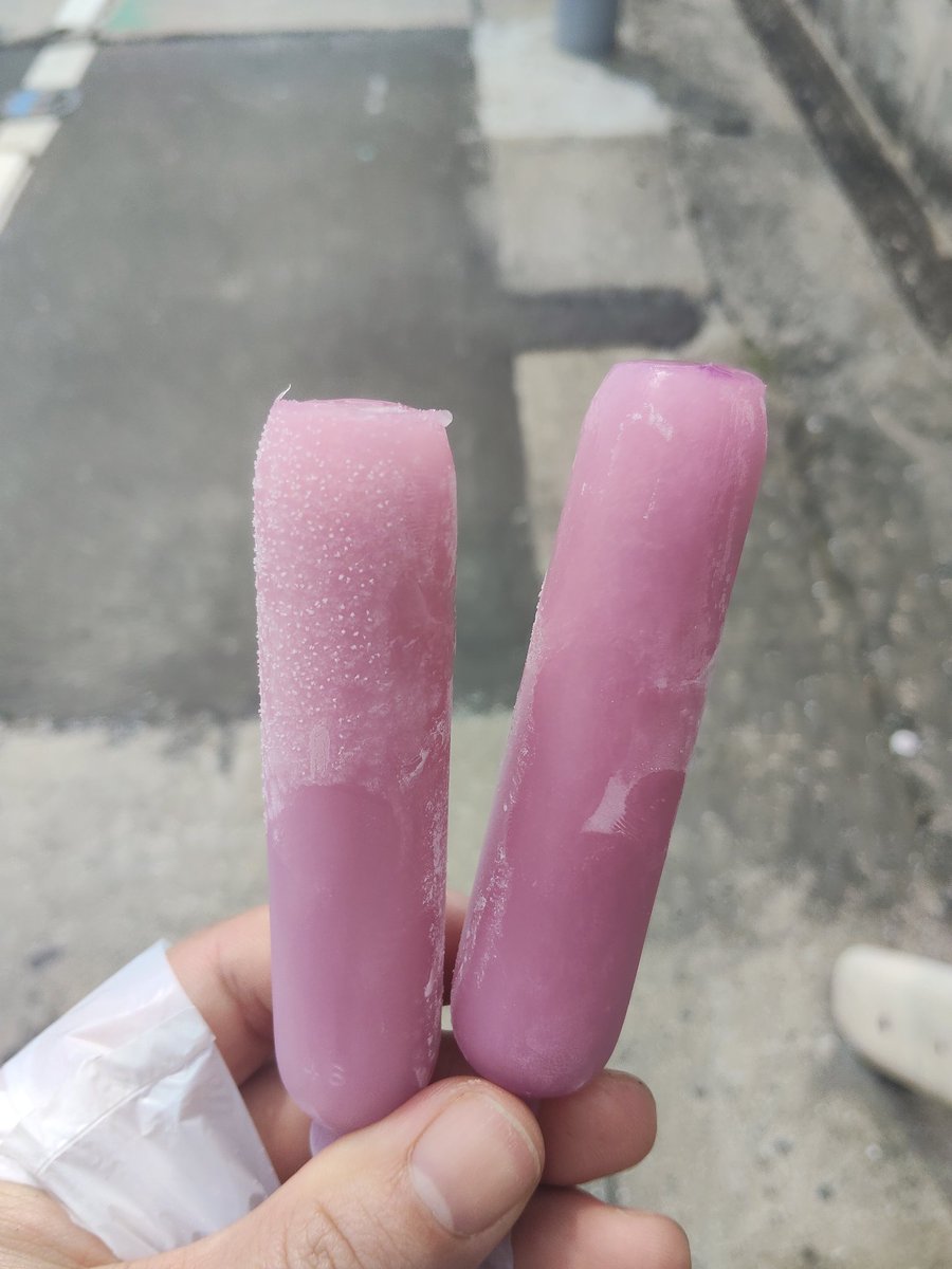 蛇メガネ(シダ) tweet media