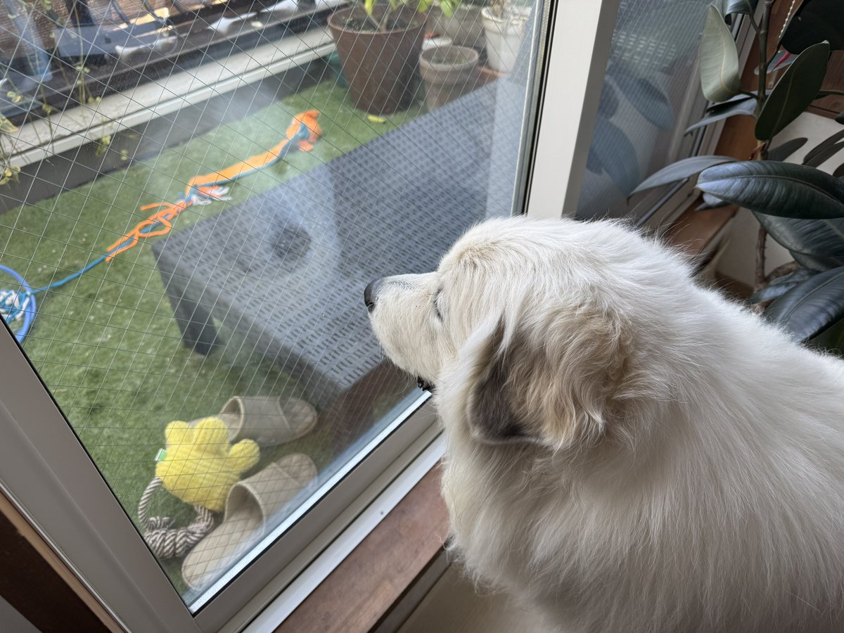 セレネちゃん日記 tweet media