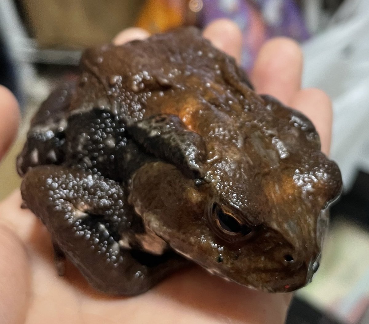 ᴊᴜᴍᴘɪɴɢ!ғʟʏɪɴɢ!ᴡᴀʟᴋɪɴɢ!ʀᴜɴɴɪɴɢ! tweet media