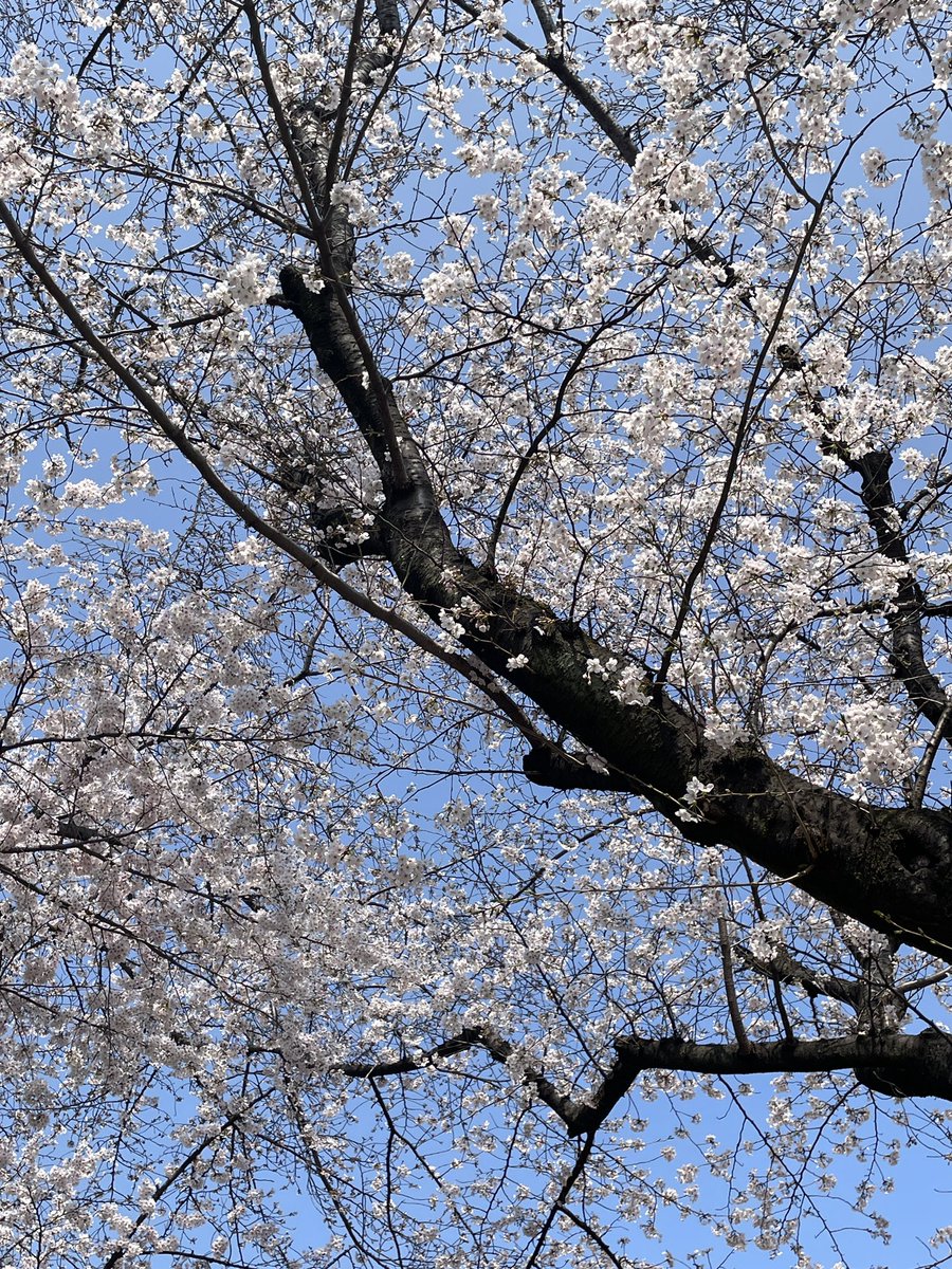 さとみ tweet media