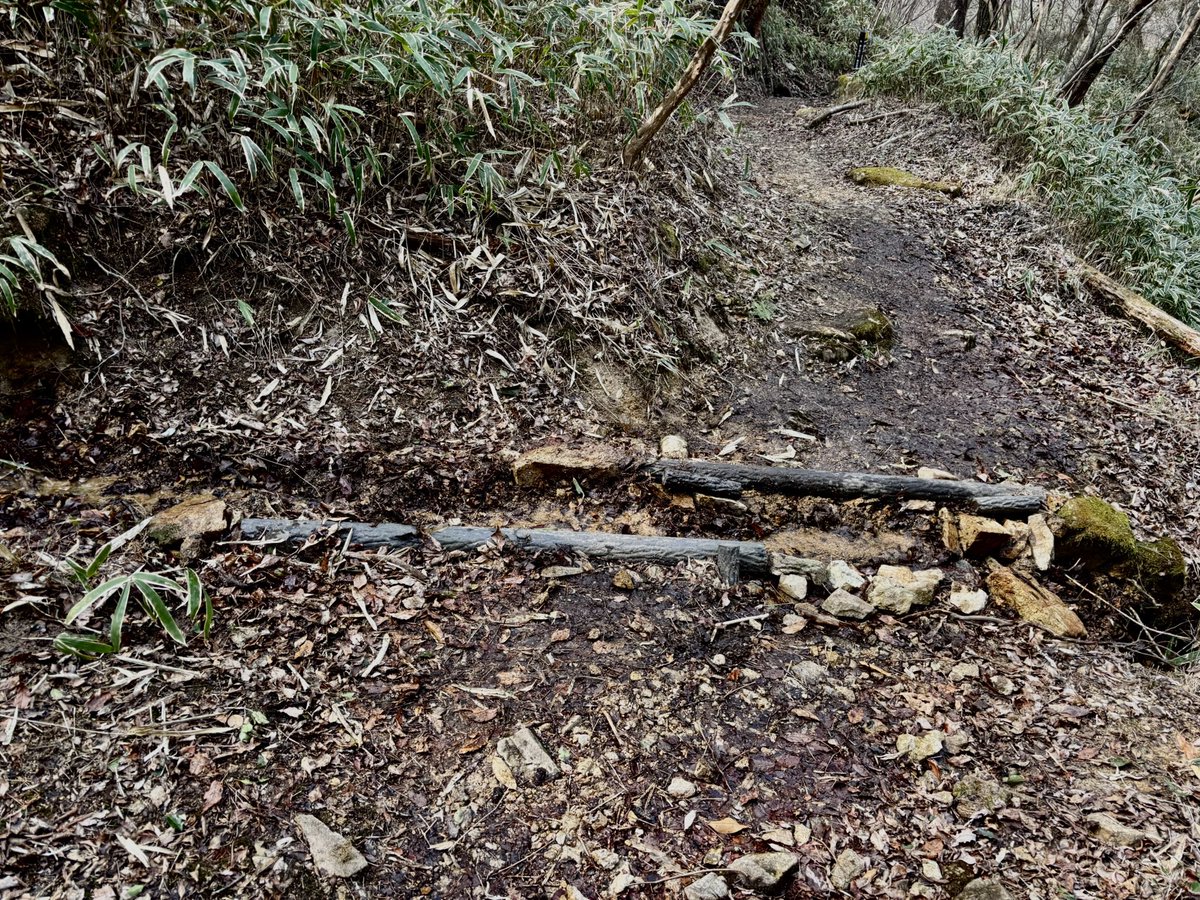 a r k i b i t o tweet media