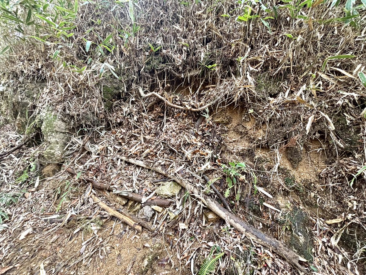 a r k i b i t o tweet media