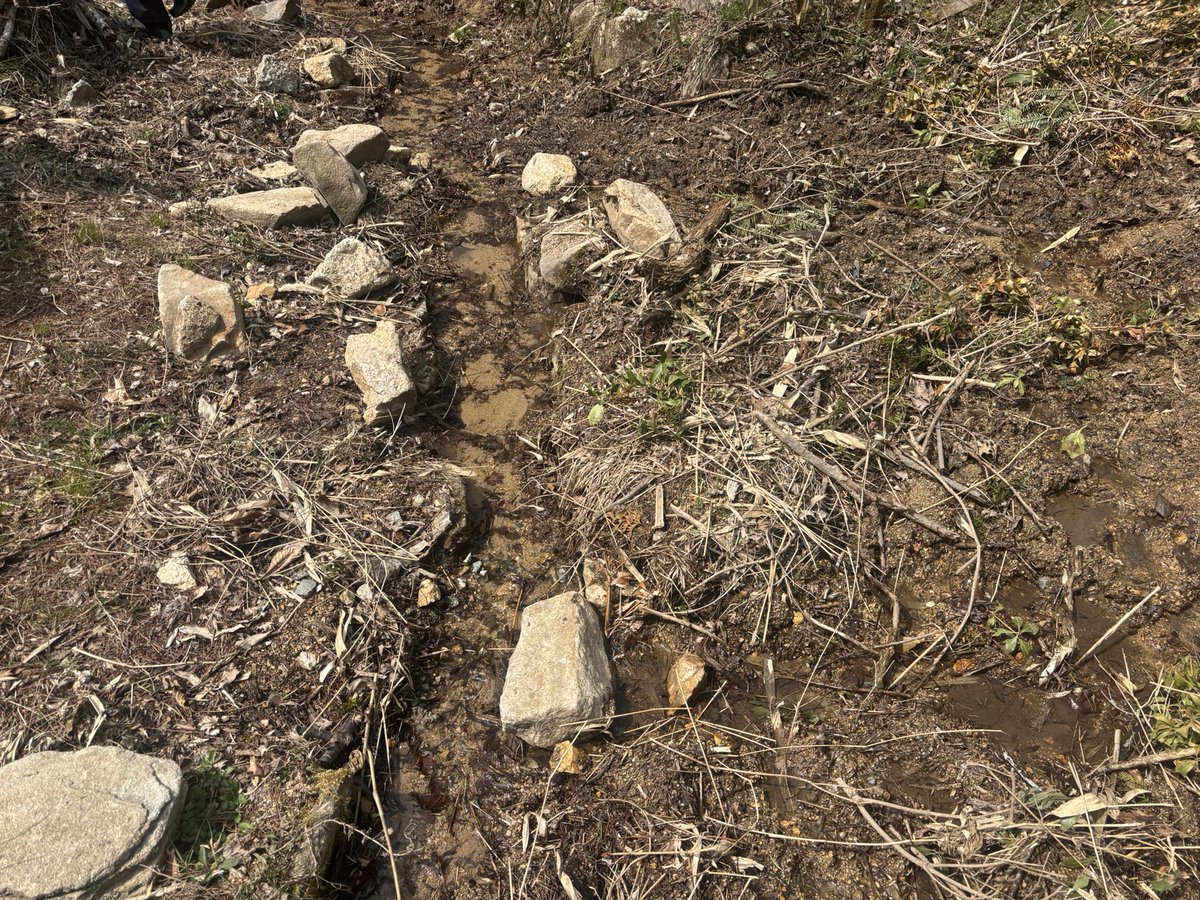 a r k i b i t o tweet media