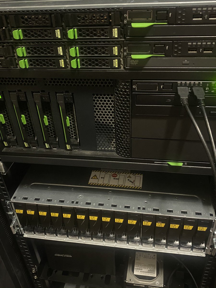 ふぉるしぃ tweet media