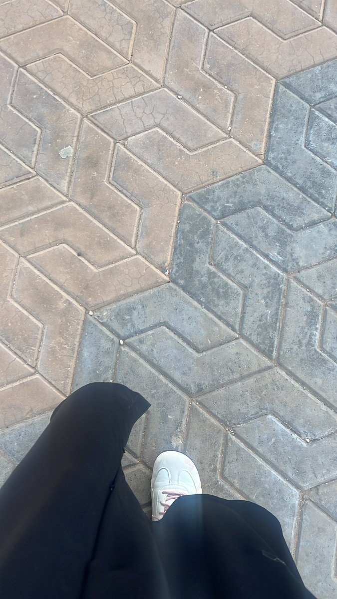 🇯🇵 tweet media