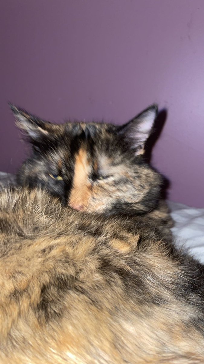 Grieving my precious angel has been the most painful thing I’ve experienced, but I’m gonna keep her spirit alive forever 💓💋💖💓❤️ I love you bay