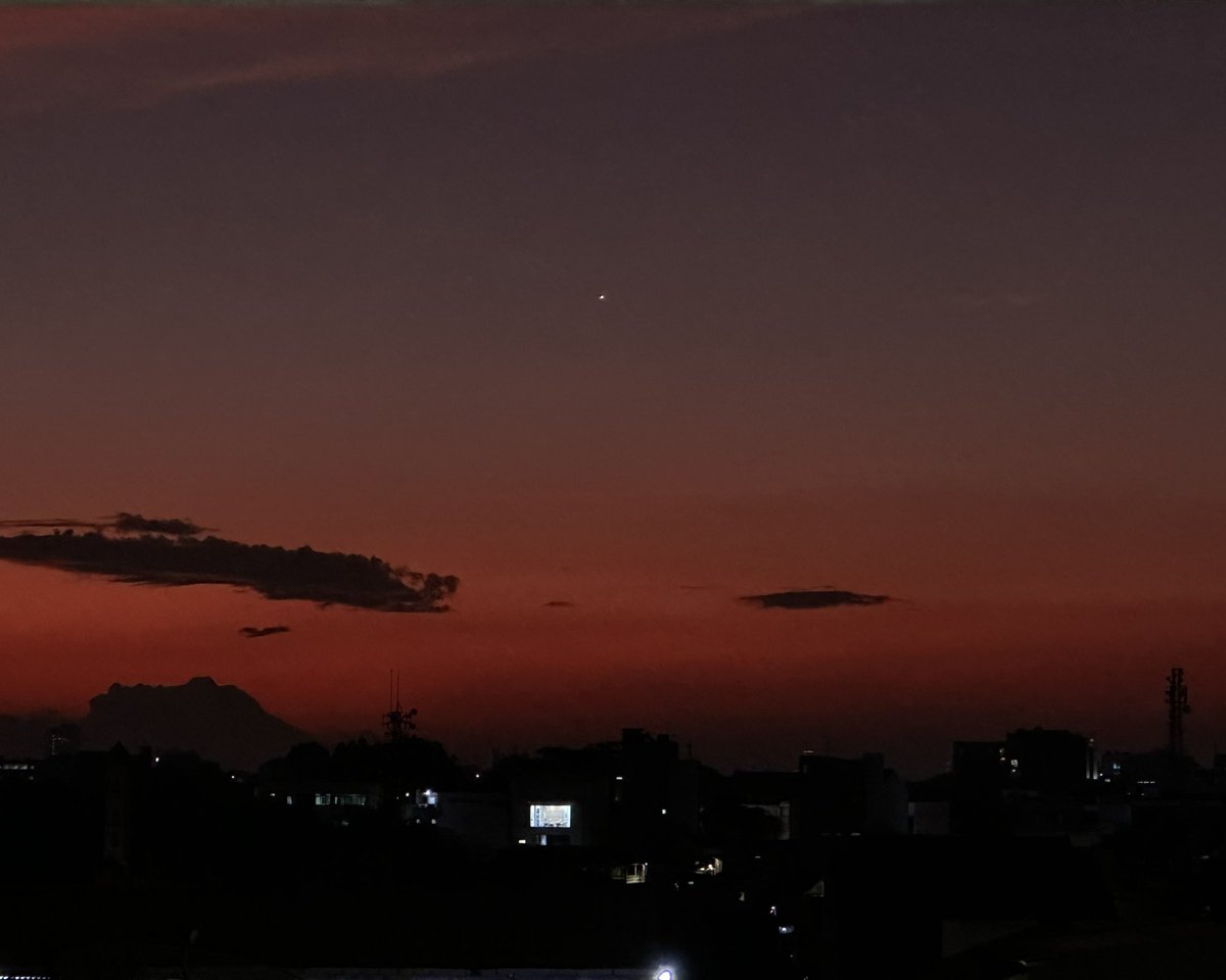 Coney Island tweet media