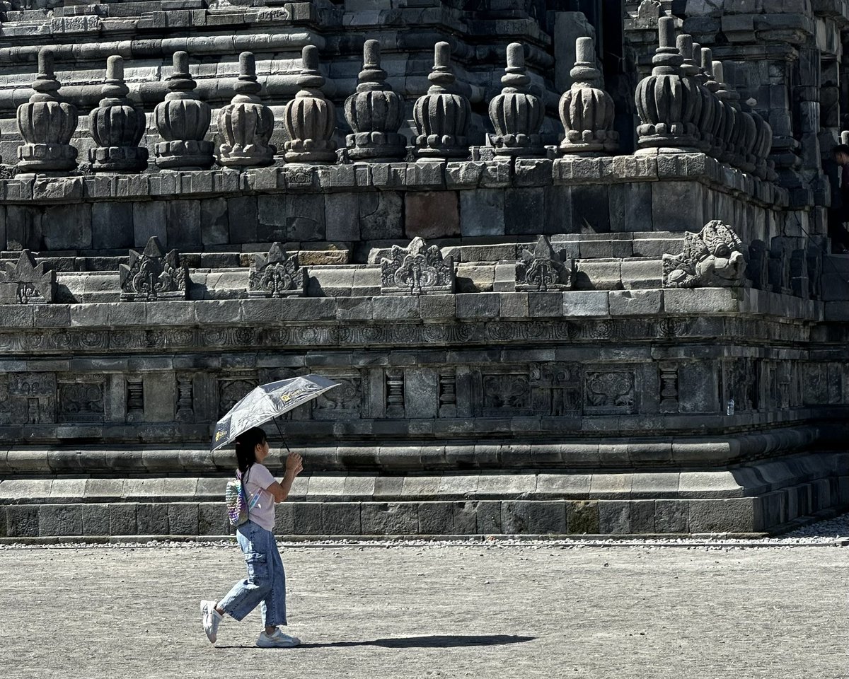 Coney Island tweet media