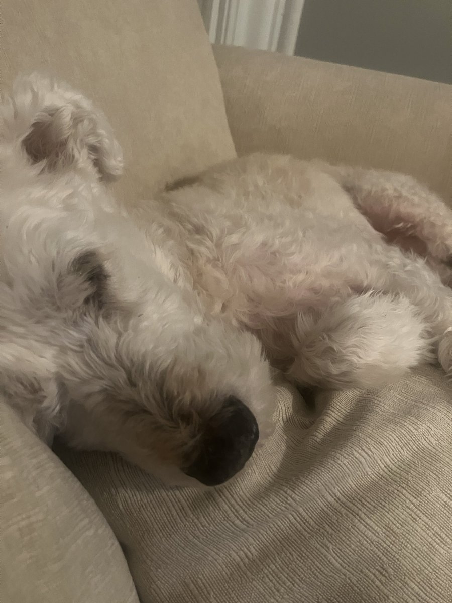 Jeffrey Vallese tweet media