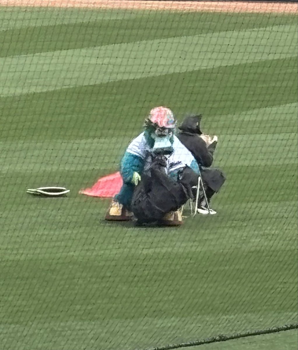 🦫サブたるの tweet media