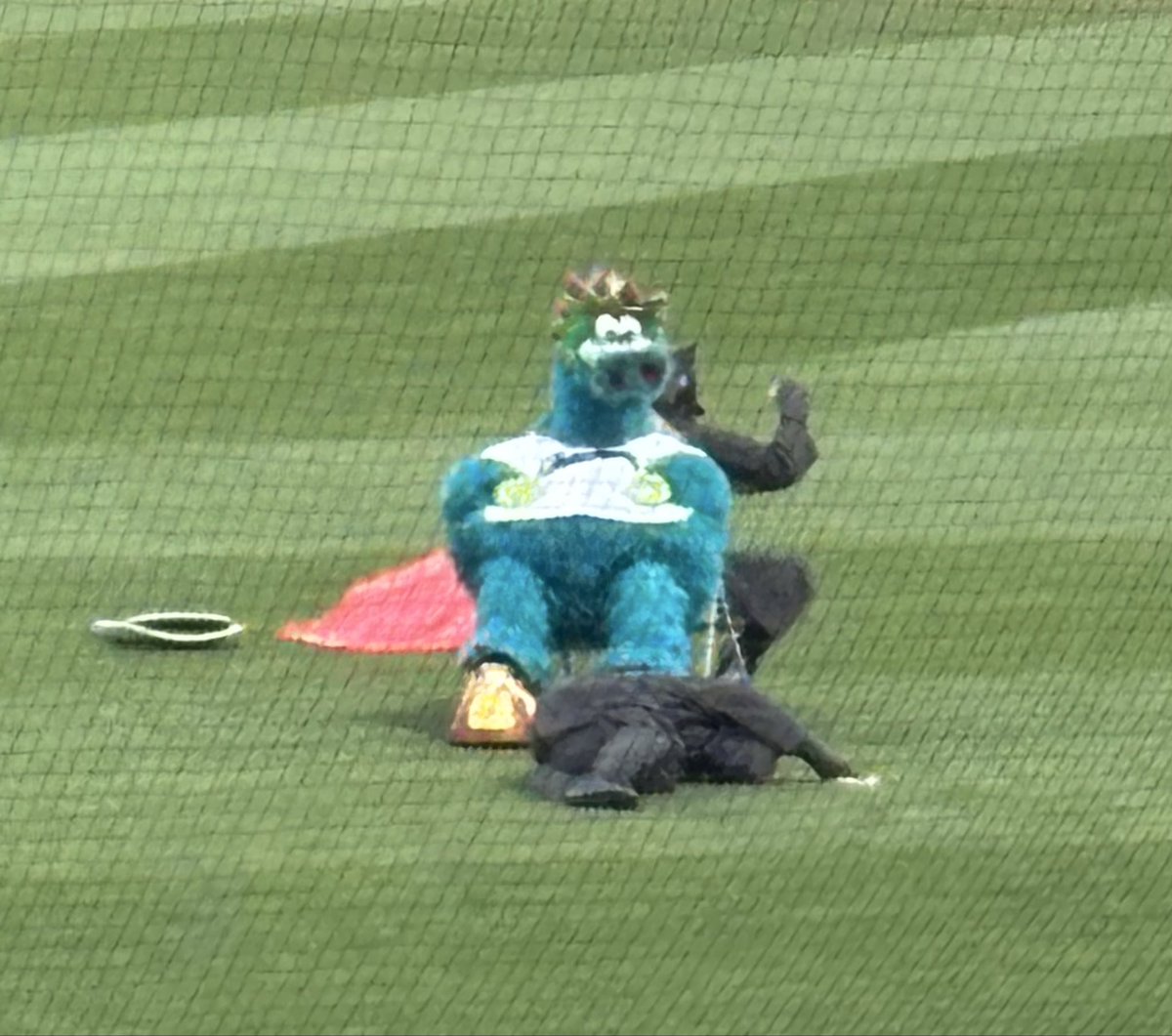 🦫サブたるの tweet media