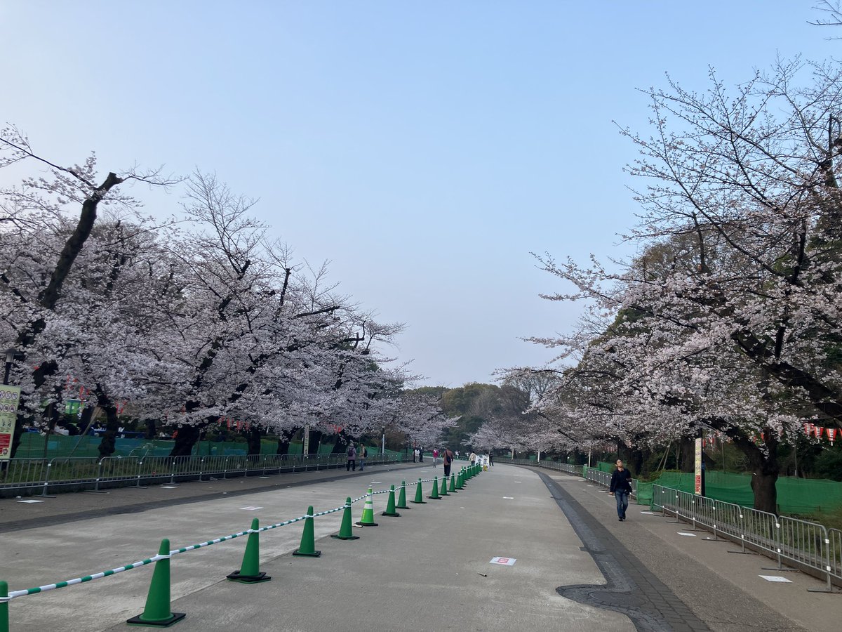 スカイツリー tweet media