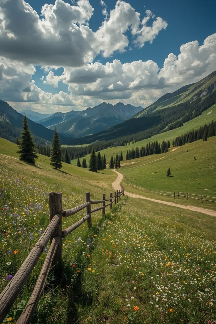 Aleksandar Mitrovic tweet media