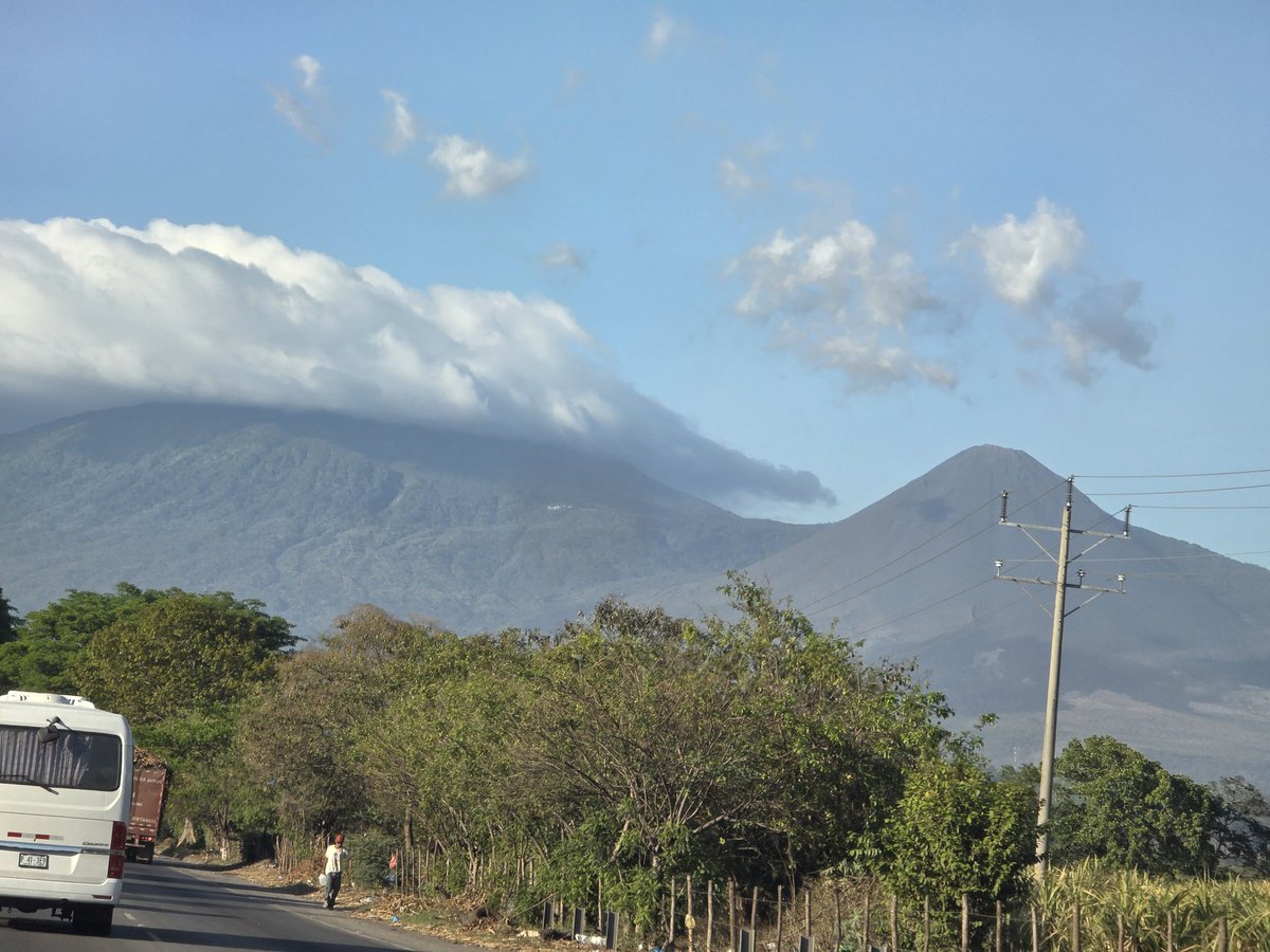 AzúcarMorena tweet media