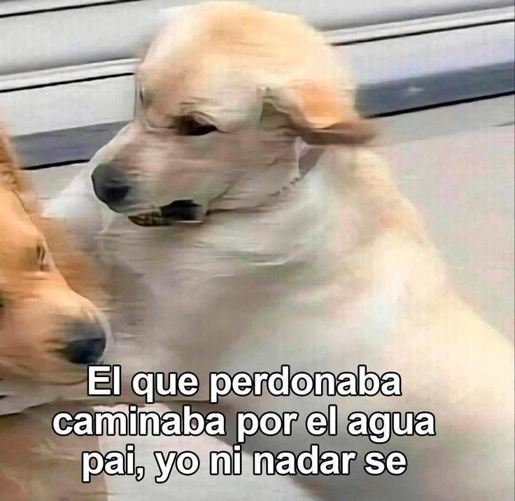 Ojos color sol tweet media