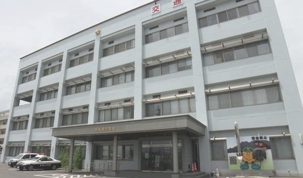 そらぴよ tweet media