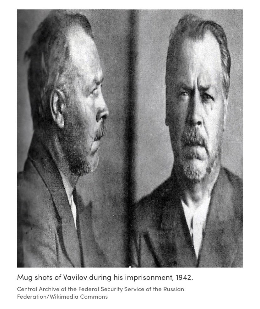 ⭕️Faerie ❤️ tweet media