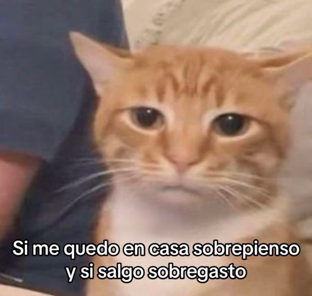 El Guarromántico tweet media