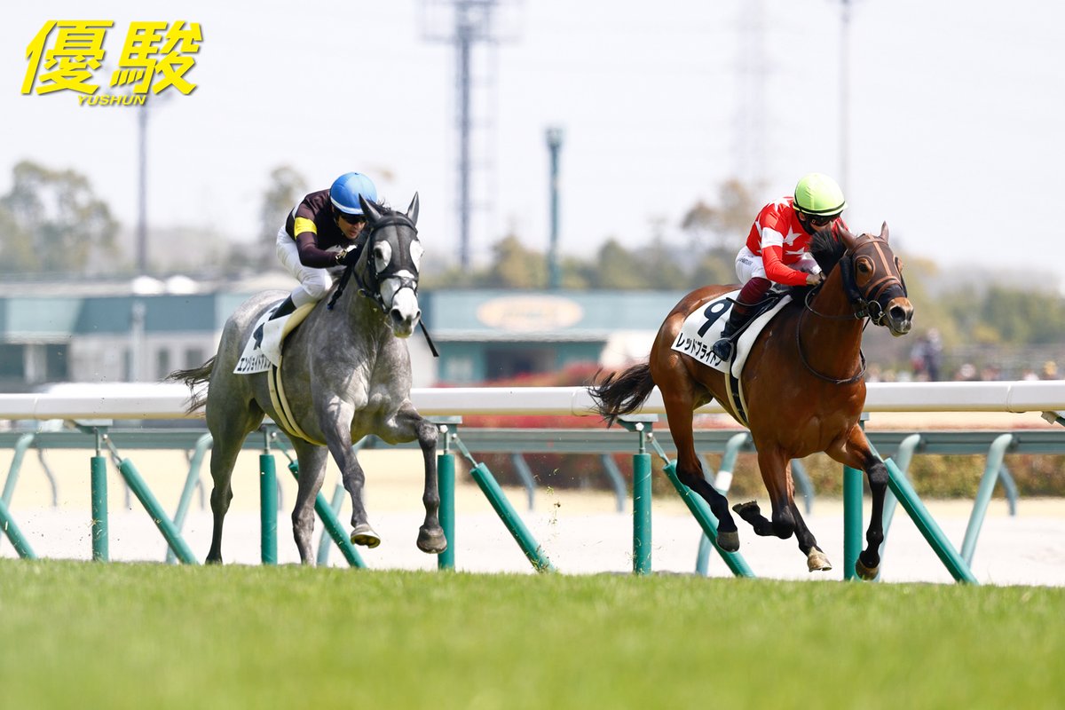 『優駿』編集部 tweet media