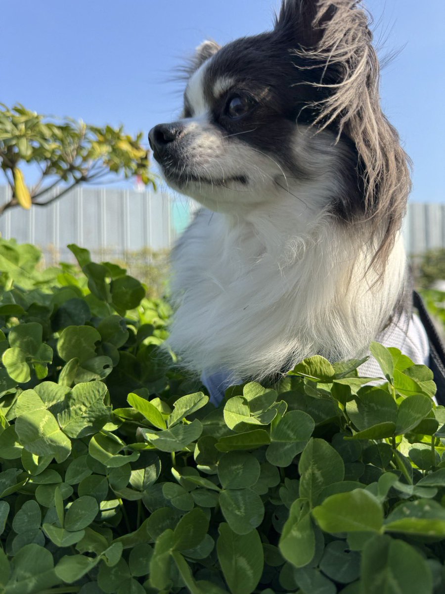 MOCO@44MOCO25 tweet media