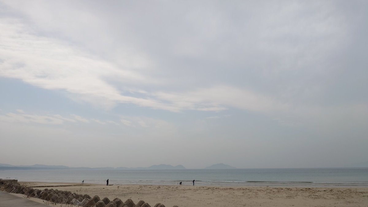 ひ゜んすけ tweet media