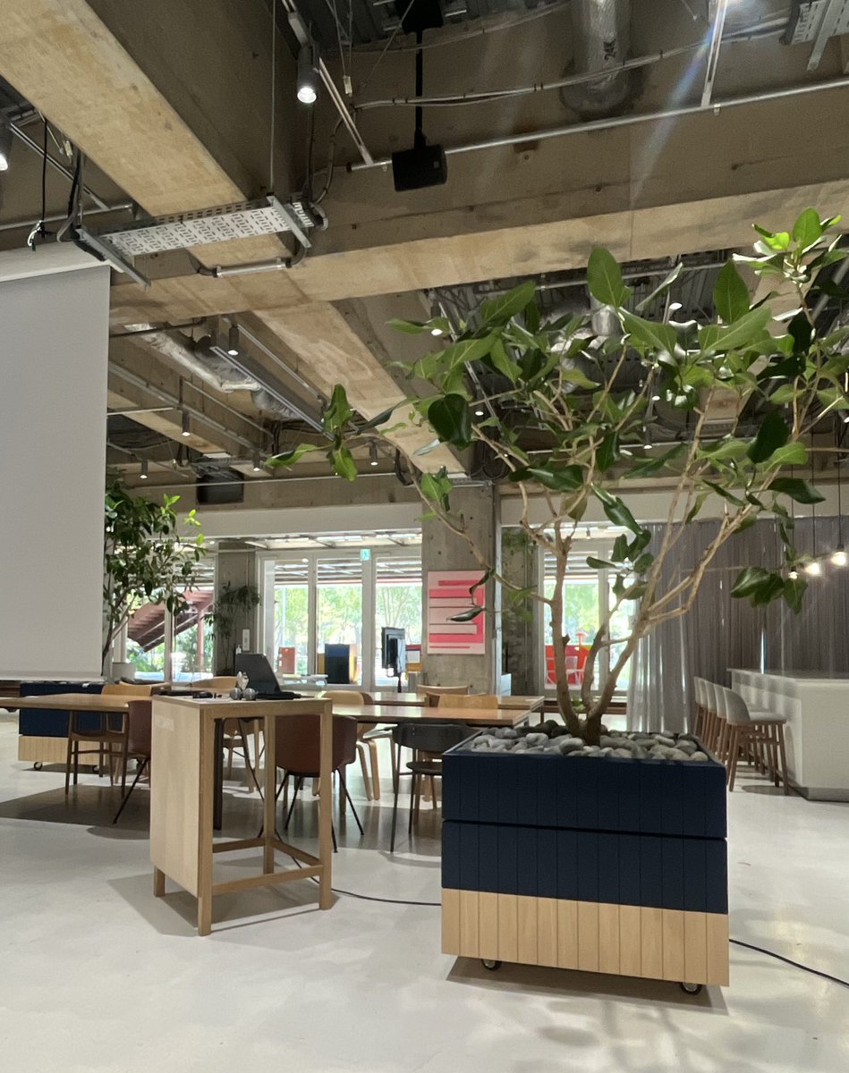 Atsuki【短期決戦予備校エクセリア】 tweet media