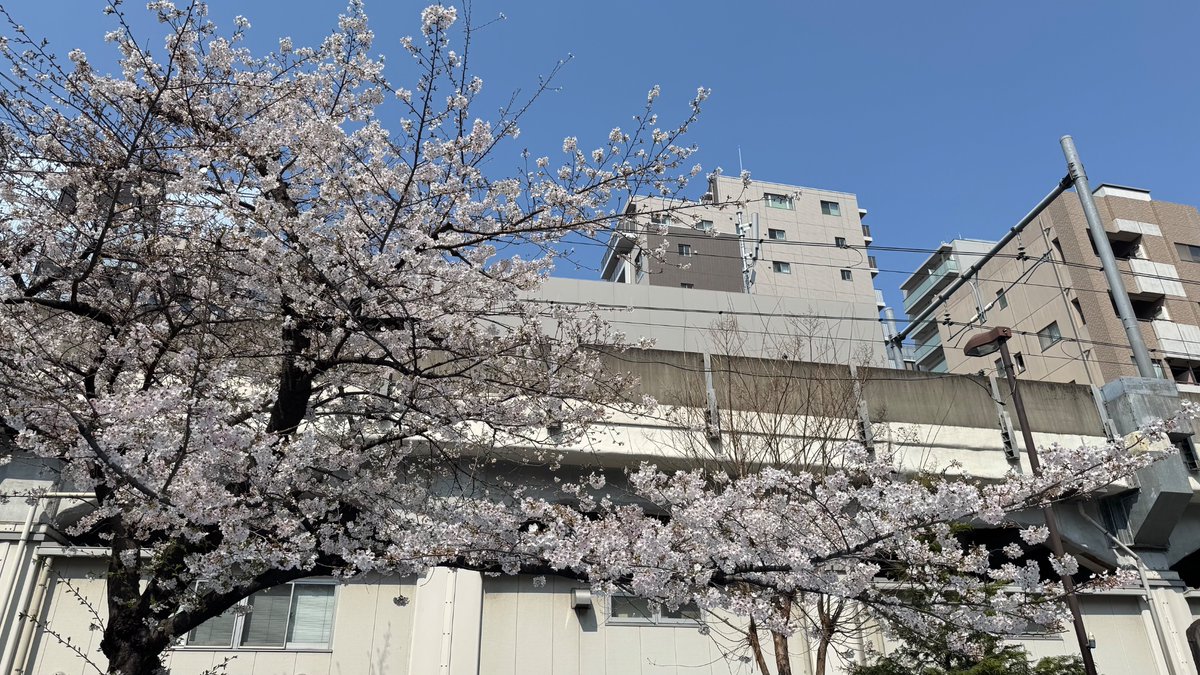 あずま tweet media