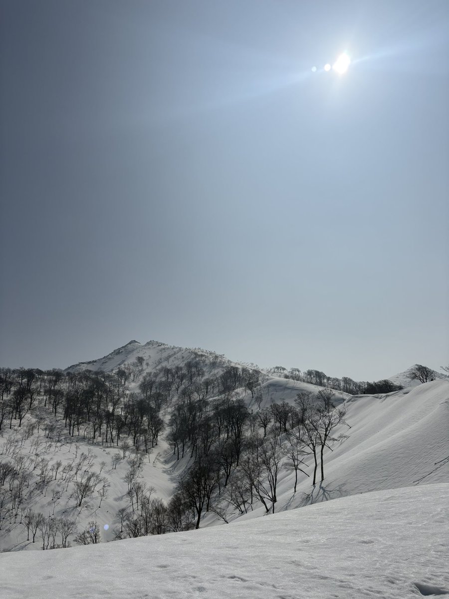 滑らない登山はしたくない tweet media