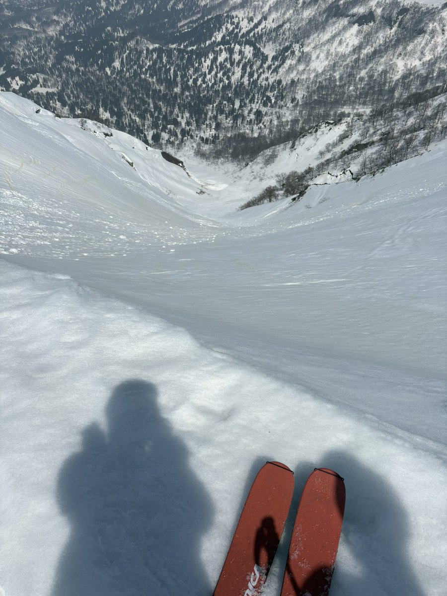 滑らない登山はしたくない tweet media