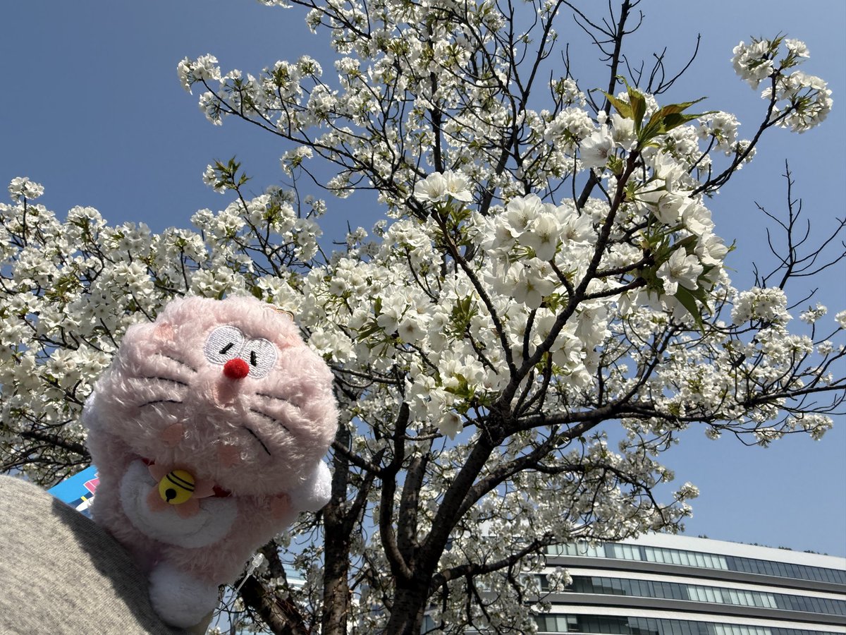 mina@交換垢 tweet media