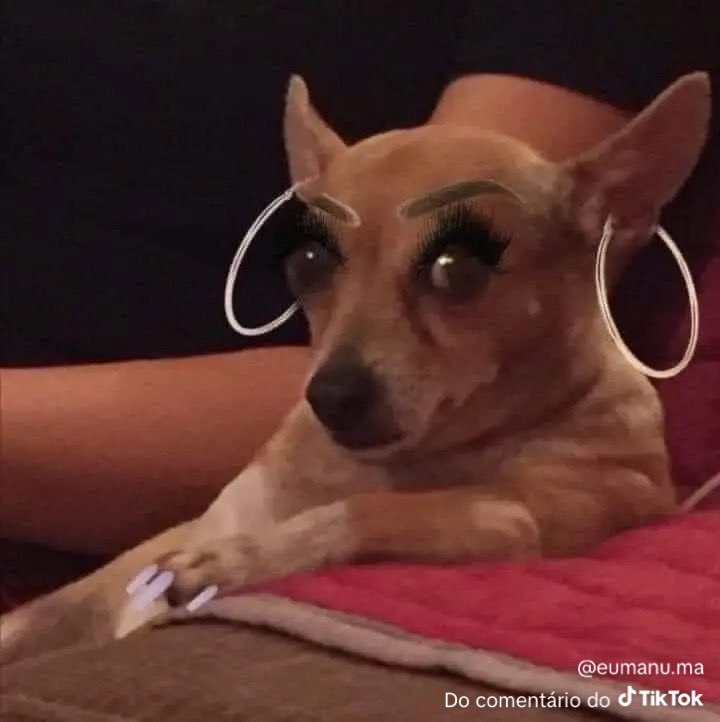 Antigenitalista 24 📍🏳️‍🌈 tweet media