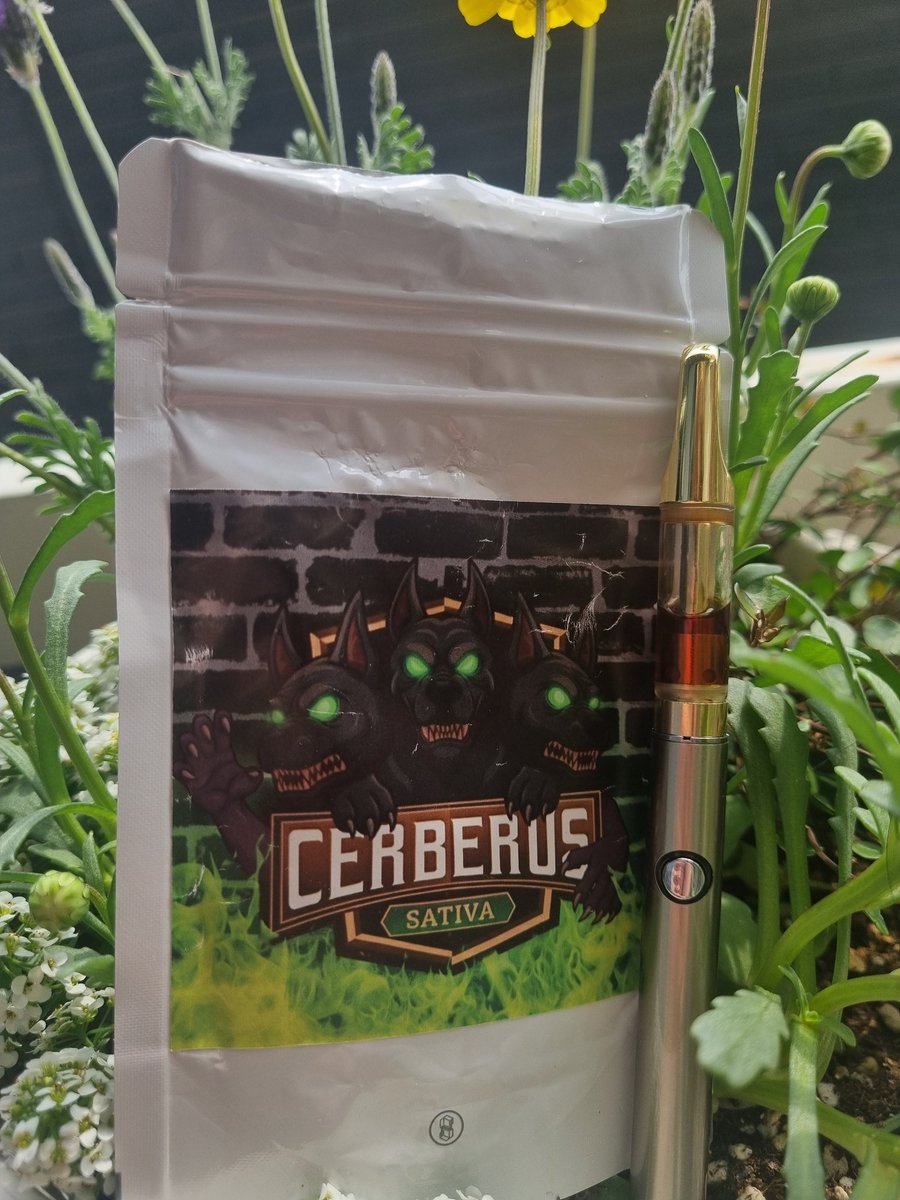 TokeyHawk tweet media