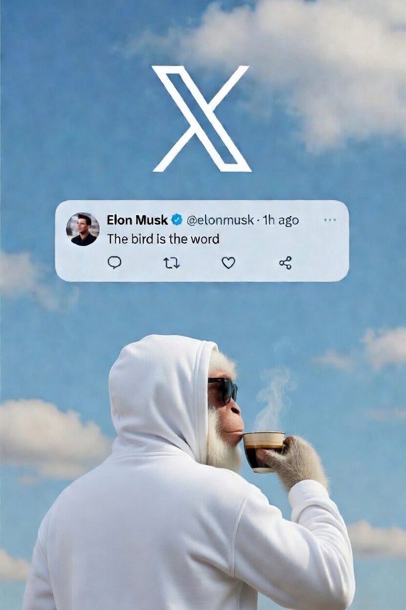 Ali-crypt tweet media