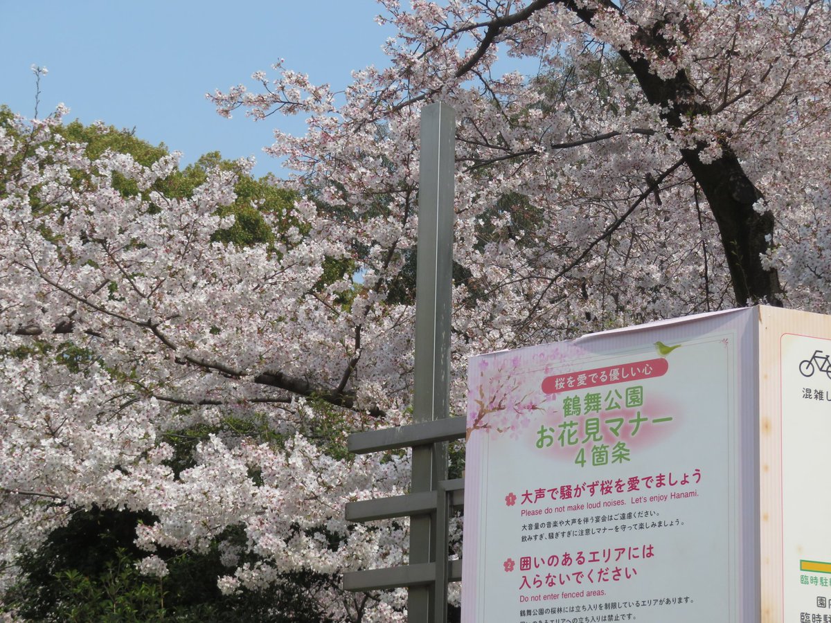 ゼルペスくん🐦 tweet media