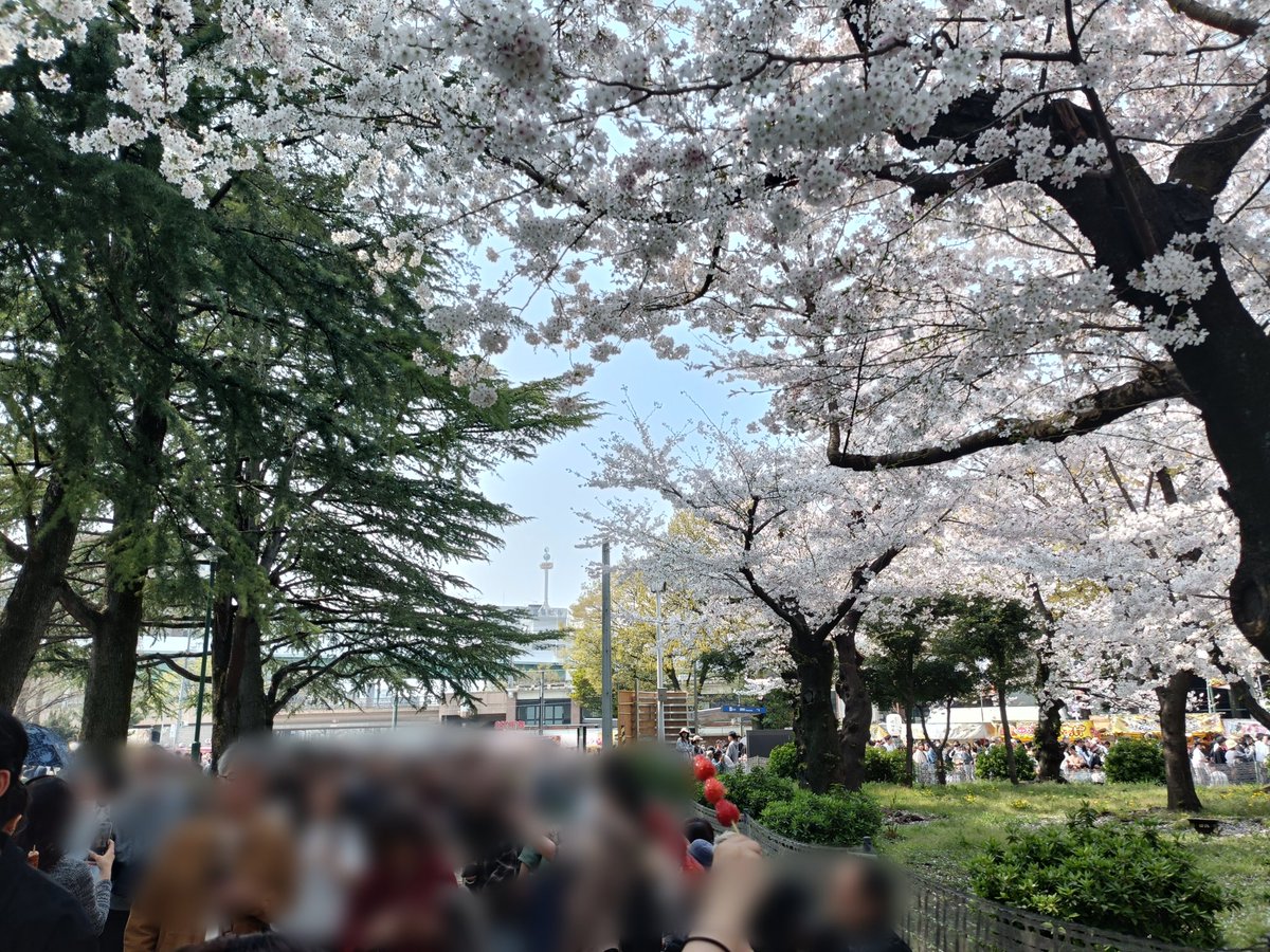 ゼルペスくん🐦 tweet media