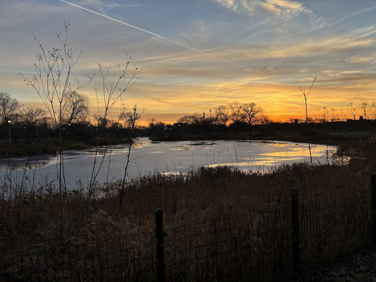 Ethan Michaeli tweet media