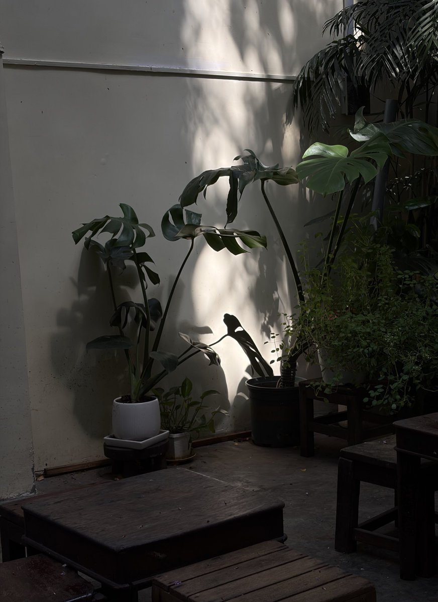 KimDTurtle tweet media