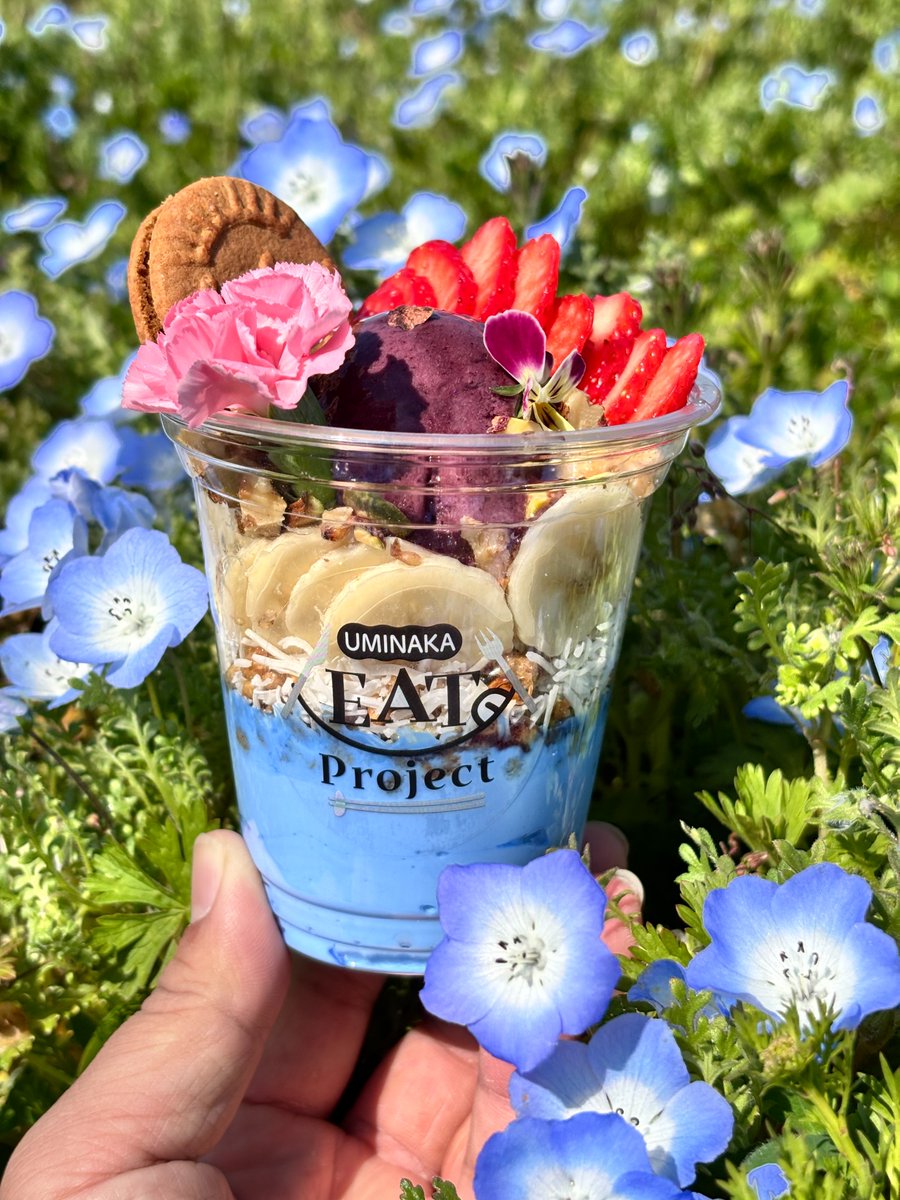 海の中道海浜公園 tweet media