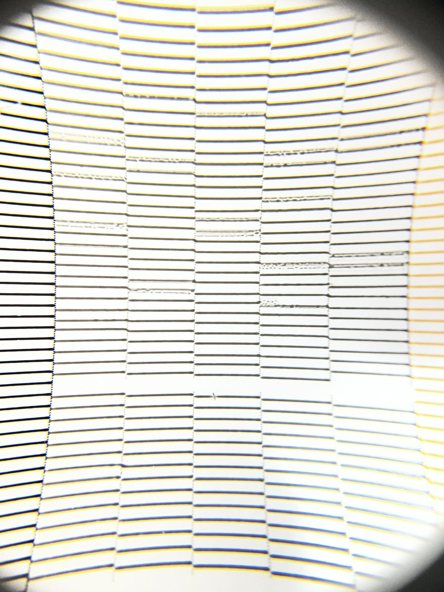 Sakata Designers 印刷担当 tweet media