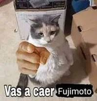 RedJolti tweet media